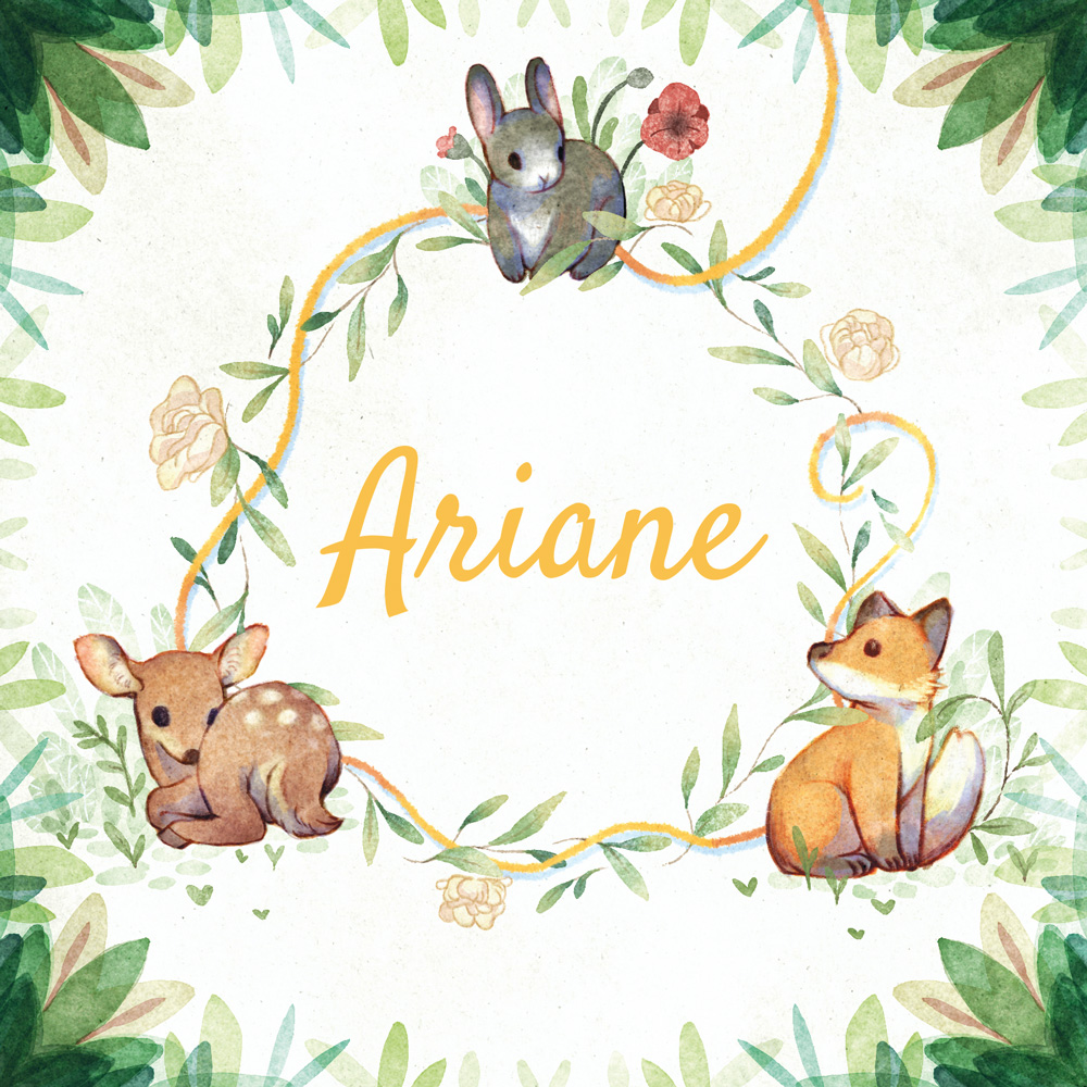 Ariane-1-light